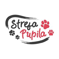 Strefa Pupila