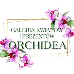 Galeria Orchidea