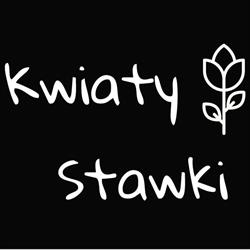 Kwiaciarnia Stawki