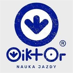 Wiktor. Nauka jazdy. Wolniewicz M.