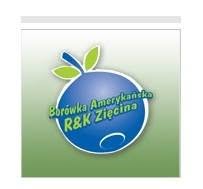 Borówka Amerykańska - R & K Zięcina