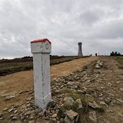CETIK
