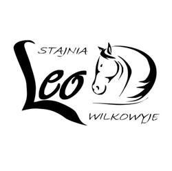 Stajnia LEO Wilkowyje