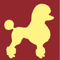 Dogmat Salon Groomerski