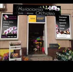 KWIACIARNIA ORCHIDEA