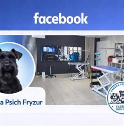"Animal" Salon dla psów