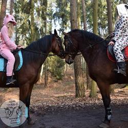 Jazda Konna Karolina Kowalska