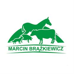 Przychodnia weterynaryjna, weterynarz Marcin Brążkiewicz. Leczenie, profilaktyka zwierząt