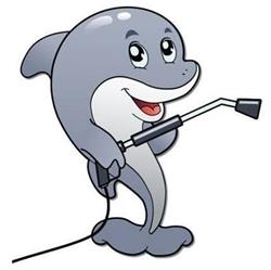 Myjnia Samochodowa Samoobsługowa DELFIN 24h