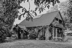 Winnica LIPKA WIELKA