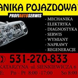 Auto-Rekin