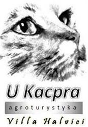 Agroturystyka "U Kacpra" Villa Halvici