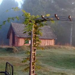 Gajowisko