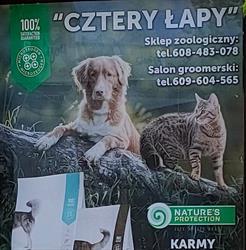 Sklep zoologiczny "Cztery Łapy"