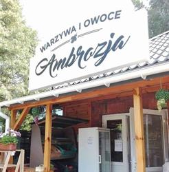Warzywniak Złotokłos