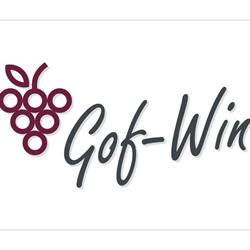 GOF-WIN