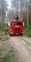 Tartak, drewno budowlane - Poldrewex
