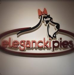 Elegancki Pies