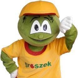 Groszek