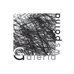 Galeria Wspólna