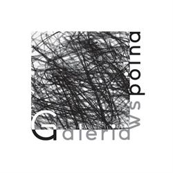 Galeria Wspólna
