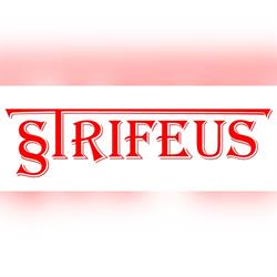Biuro Rachunkowe STRIFEUS