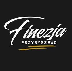 Finezja