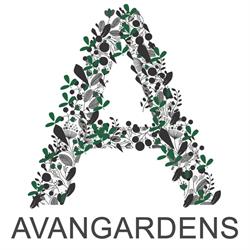 Avangardens Architektura Krajobrazu