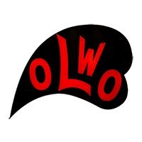 Pensjonat Olwo