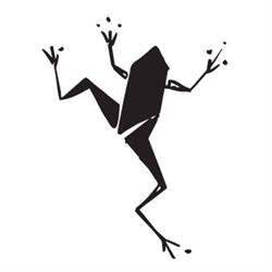 frog studio