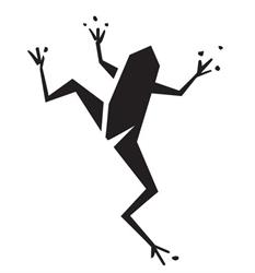 frog studio