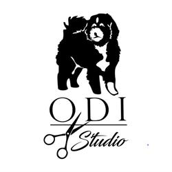 Studio Odi Strzyżenie & pielęgnacja psa Psi fryzjer