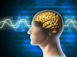 Neuroactive