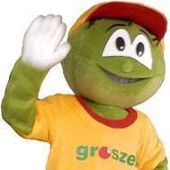 Groszek