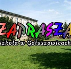 PUBLICZNA SZKOŁA PODSTAWOWA W GOŁUSZOWICACH