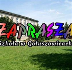 PUBLICZNA SZKOŁA PODSTAWOWA W GOŁUSZOWICACH