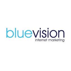Blue Vision Internet Marketing - pozycjonowanie SEM / SEO