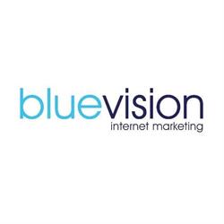 Blue Vision Internet Marketing - pozycjonowanie SEM / SEO