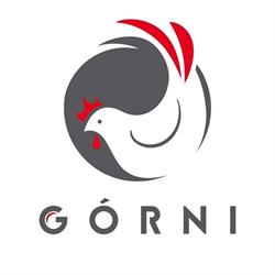 GÓRNI spółka z ograniczoną odpowiedzialnością sp.k.