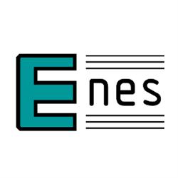 Enes Magnesy Paweł Zientek Sp. k.