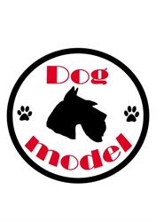 Dog model Malbork - Salon pielęgnacji psów