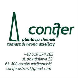 Conifer Plantacja Choinek. Świąteczne Drzewka Choinkowe