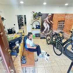 Rowery na Salwatorze - Bikesense
