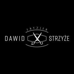 Dawid Strzyże