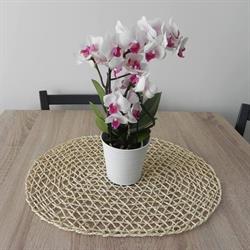 Apartamenty "Starówka"