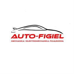 Auto-Figiel Jarosław Figiel