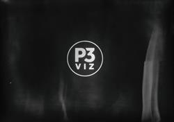 P3VIZ