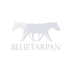 Bluetarpan