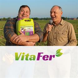 VitaFer