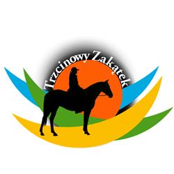 Agroturystyka Trzcinowy Zakątek - noclegi od 60 zł Wielkopolska - rajdy konne - strzelnica - kajaki